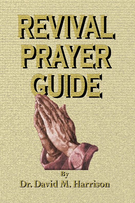 Sponsor a Preacher, Change a Nation book cover